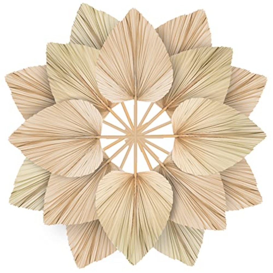 Dried Flower Bulk - 10 Large Bulk Boho Dried Palm