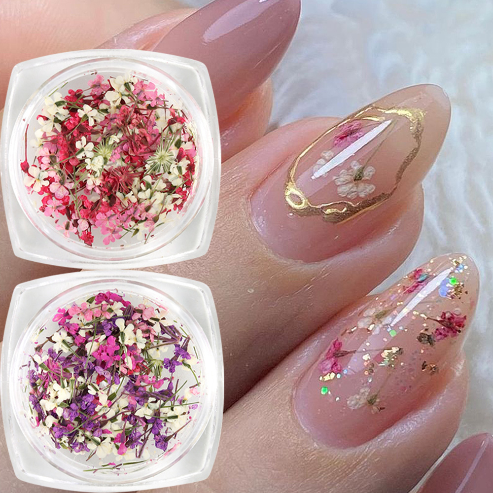 Mixed Colors Gypsophila False  - Dried Flower Bulk avis et prix