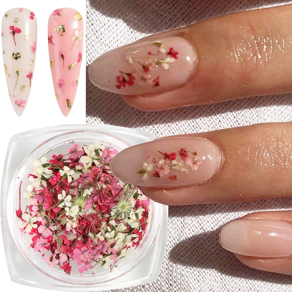 Mixed Colors Gypsophila False  - Dried Flower Bulk avis et prix