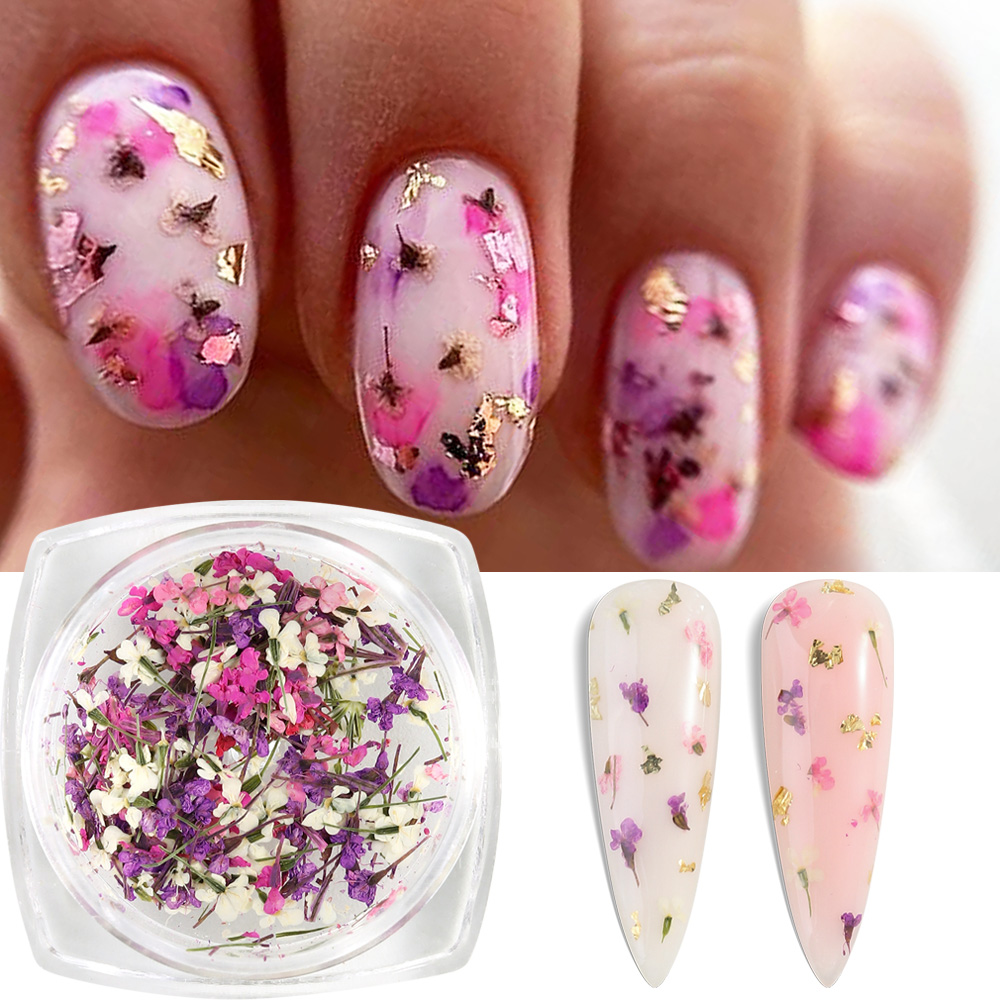 Mixed Colors Gypsophila False  - Dried Flower Bulk avis et prix