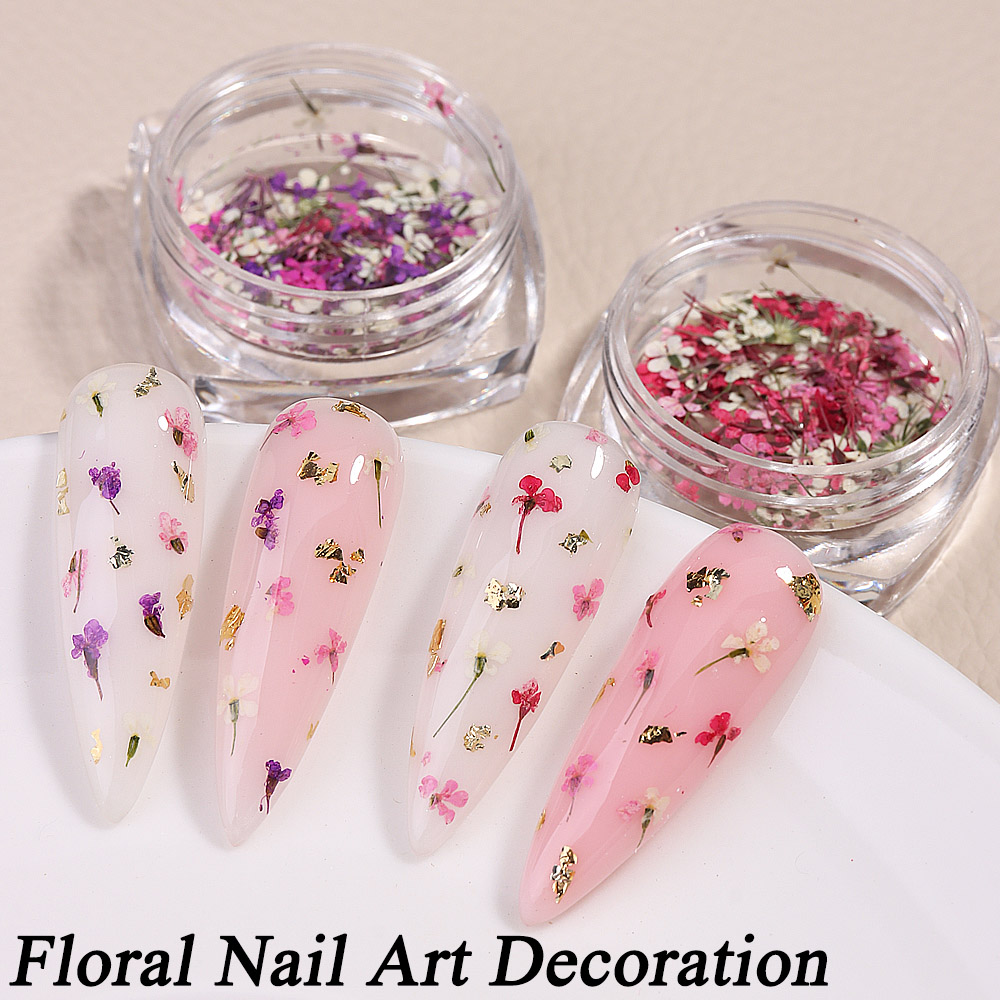 Mixed Colors Gypsophila False  - Dried Flower Bulk avis et prix