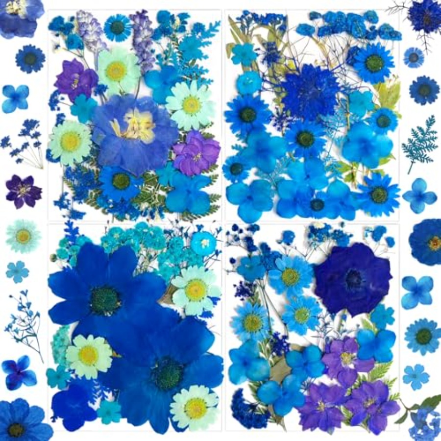 94Pcs Dried Pressed Flowers fo - Dried Flower Bulk avis et prix