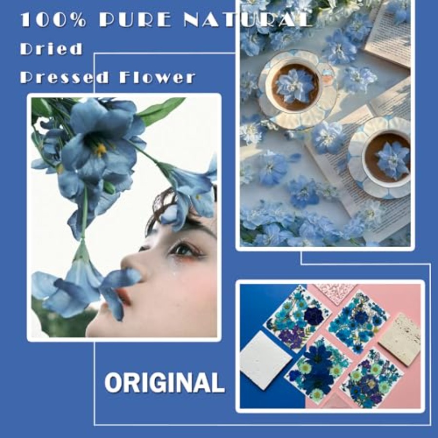 94Pcs Dried Pressed Flowers fo - Dried Flower Bulk avis et prix