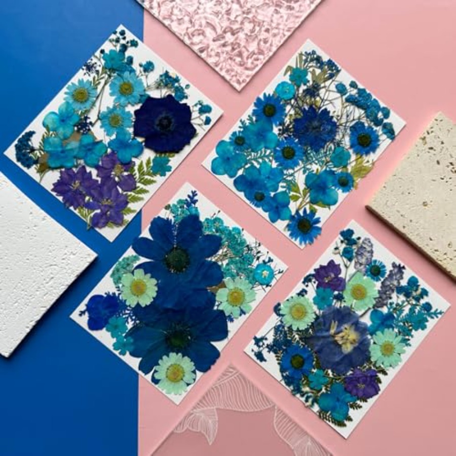 94Pcs Dried Pressed Flowers fo - Dried Flower Bulk avis et prix