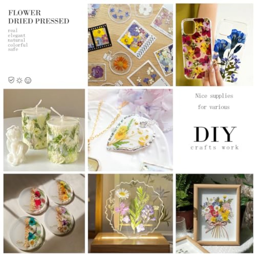 94Pcs Dried Pressed Flowers fo - Dried Flower Bulk avis et prix