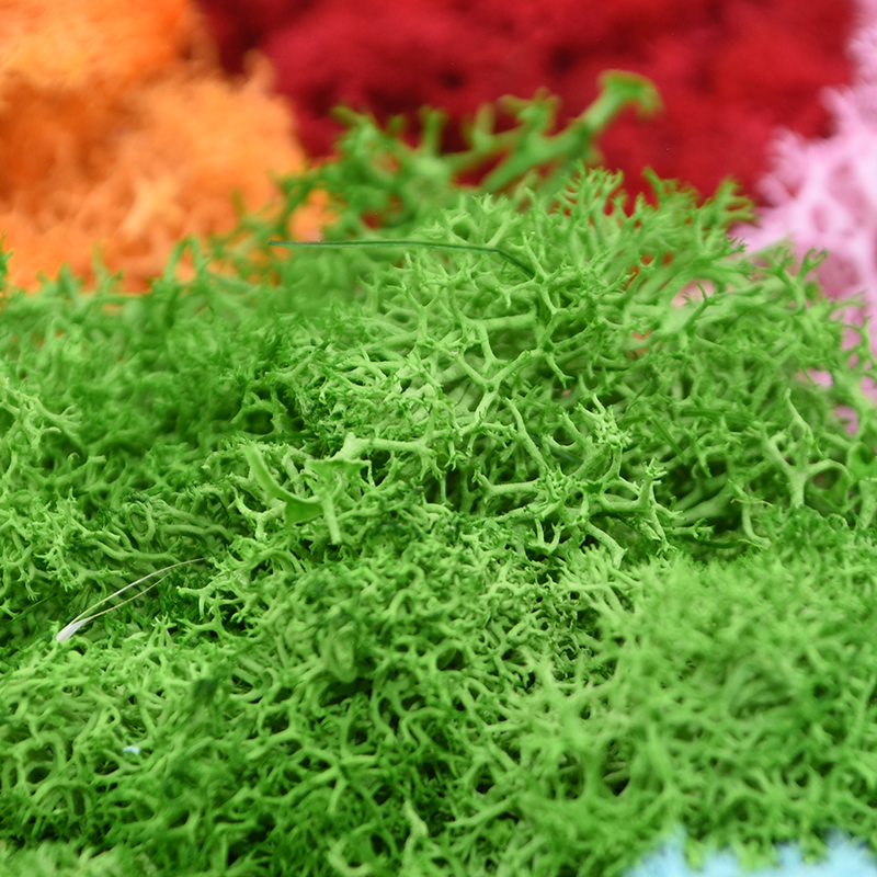 20/40g Artificial Green Plants - Terrarium Moss Art avis et prix