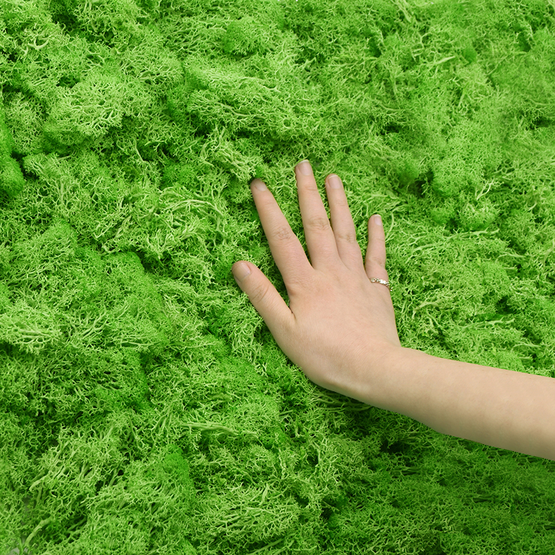20/40g Artificial Green Plants - Terrarium Moss Art avis et prix