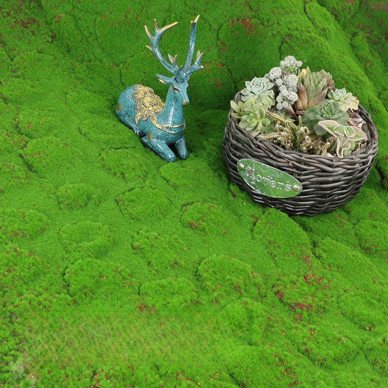 Artificial Turf Moss Simulatio - Terrarium Moss Art avis et prix