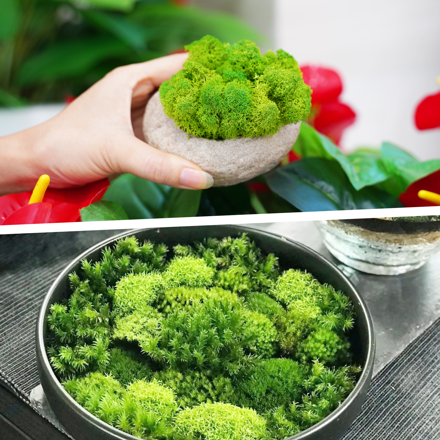 Artificial Green Plants Eterna - Terrarium Moss Art avis et prix