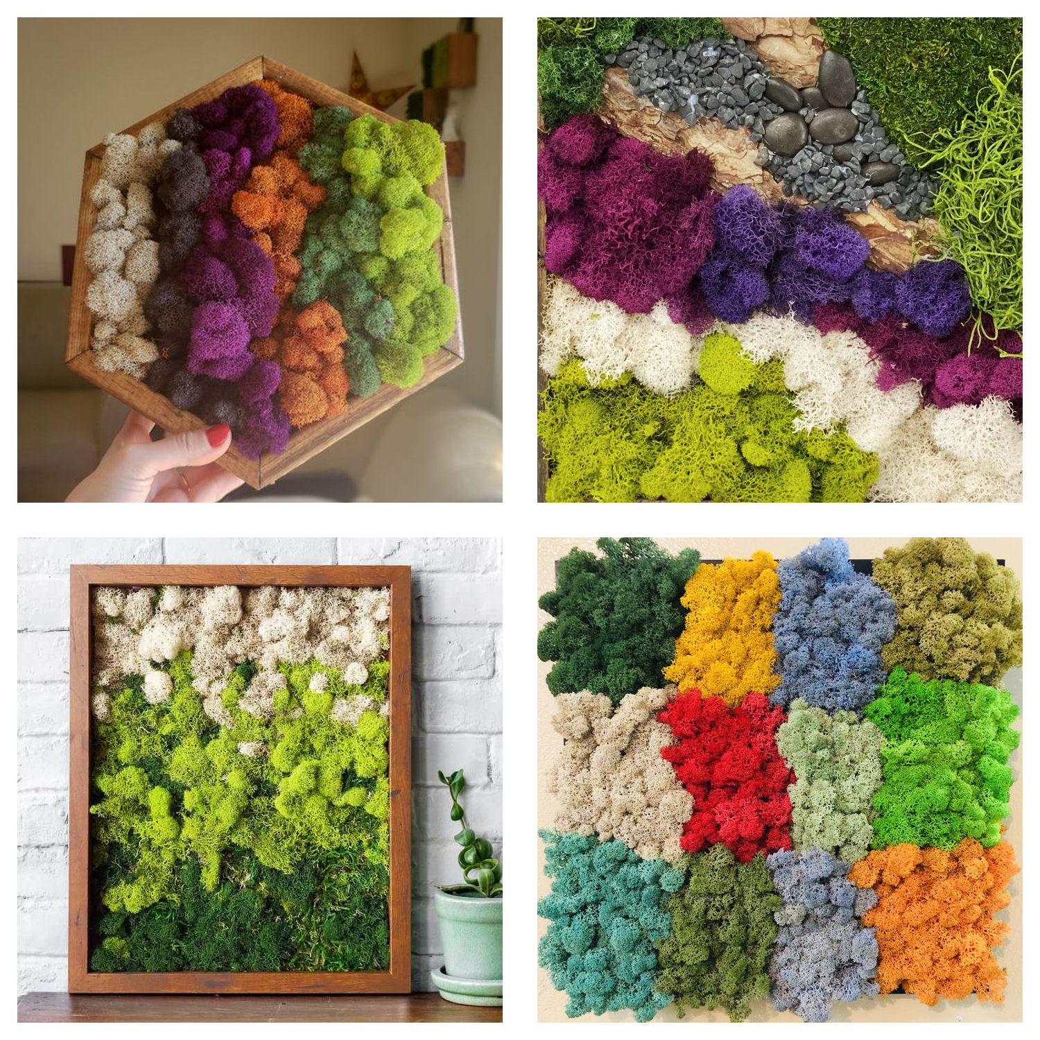 Artificial Green Plants Eterna - Terrarium Moss Art avis et prix