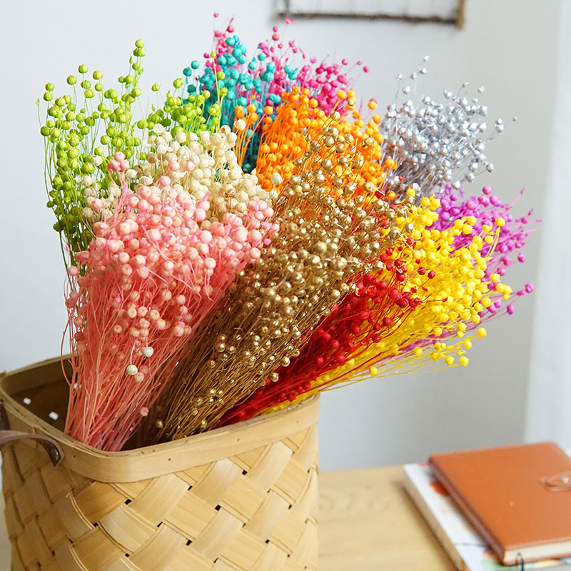 35g/Preserved Ormosia Hosiei N - Dried Flower Bulk avis et prix