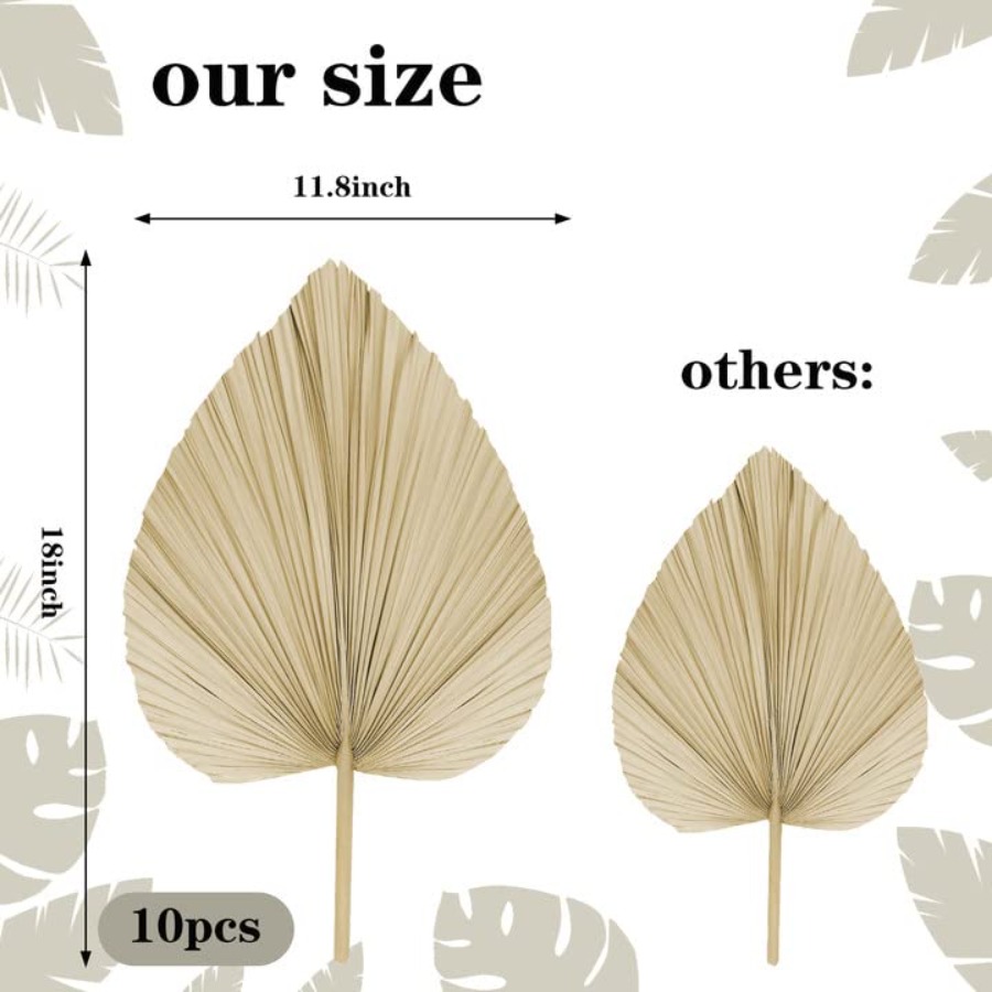 10 Large Bulk Boho Dried Palm  - Dried Flower Bulk avis et prix