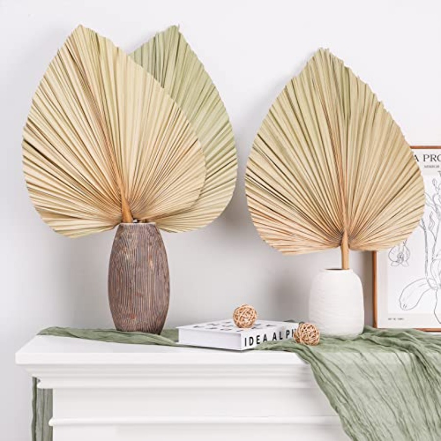10 Large Bulk Boho Dried Palm  - Dried Flower Bulk avis et prix