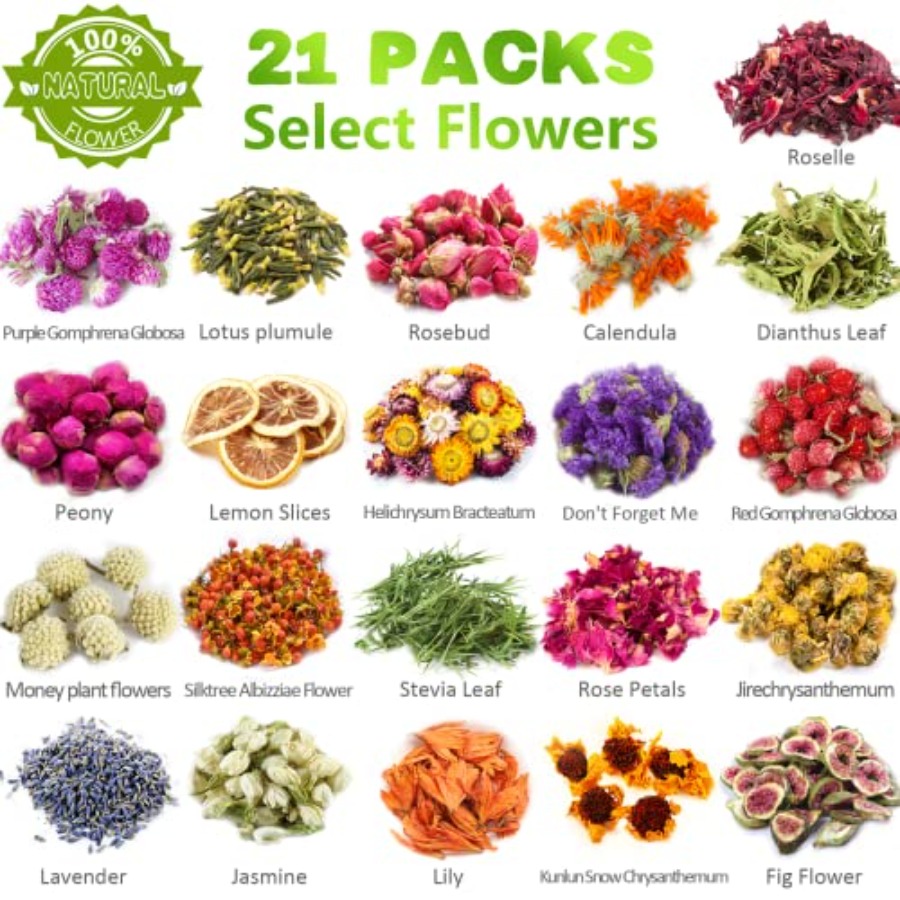 Latest] Pack Dried Flowers for - Dried Flower Bulk avis et prix