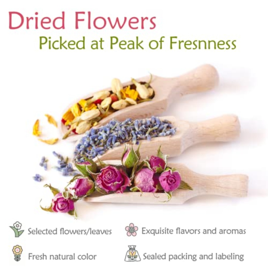 Latest] Pack Dried Flowers for - Dried Flower Bulk avis et prix