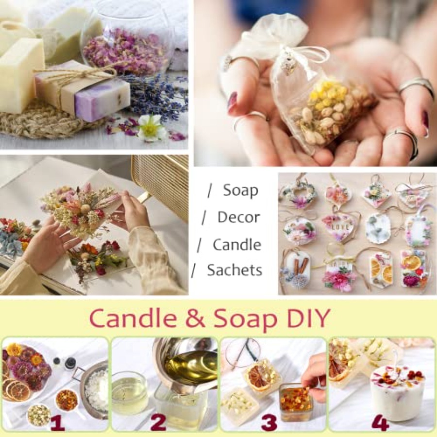 Latest] Pack Dried Flowers for - Dried Flower Bulk avis et prix