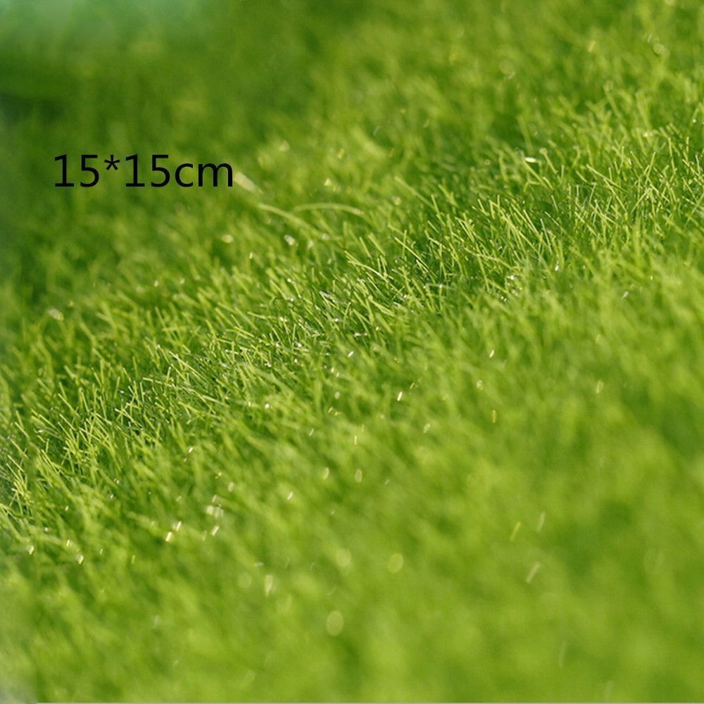 Ecological Lawn Decor Garden O - Terrarium Moss Art avis et prix