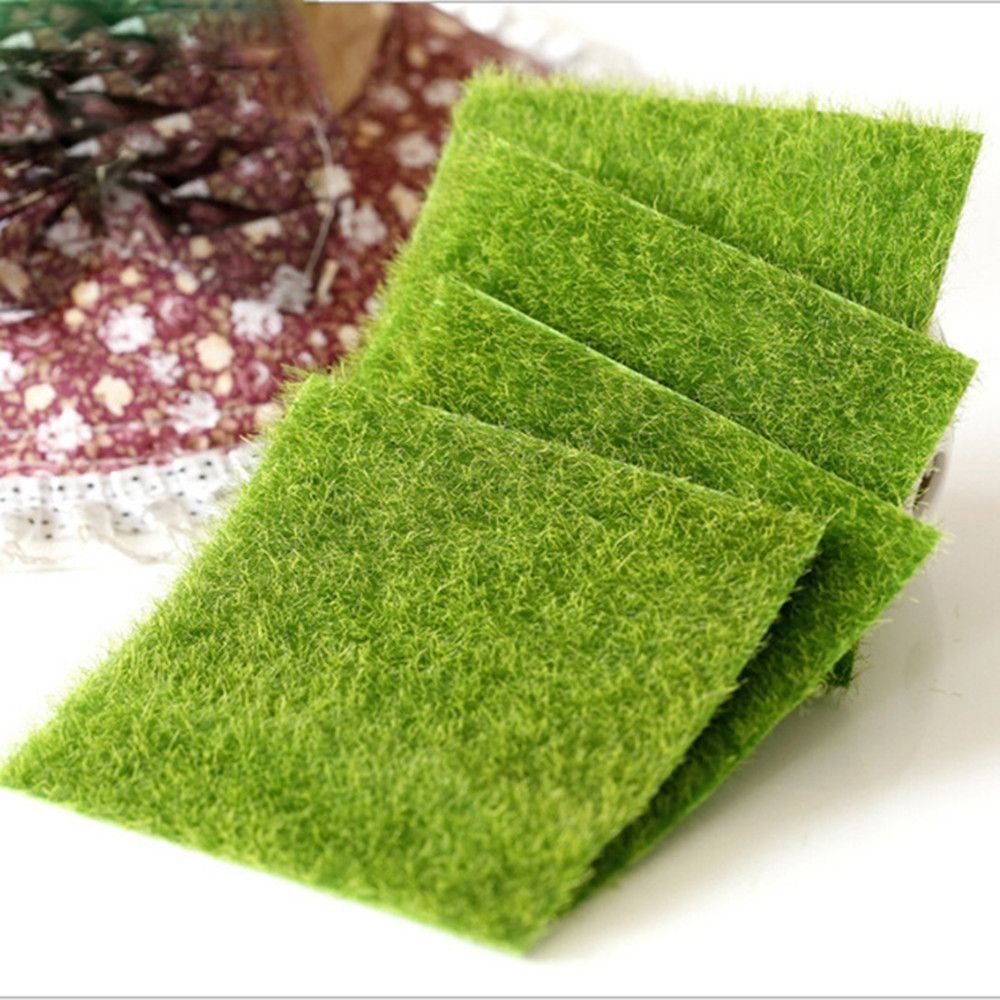 Ecological Lawn Decor Garden O - Terrarium Moss Art avis et prix