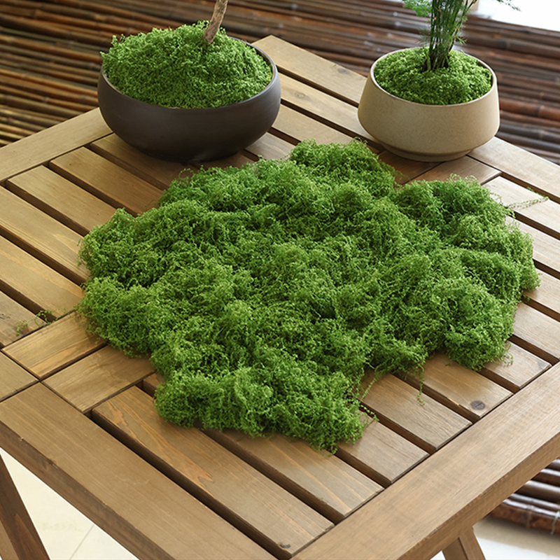 about 20g Artificial Green Pla - Terrarium Moss Art avis et prix