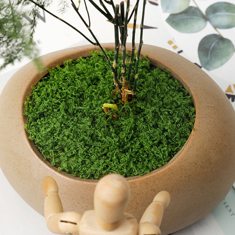 about 20g Artificial Green Pla - Terrarium Moss Art avis et prix