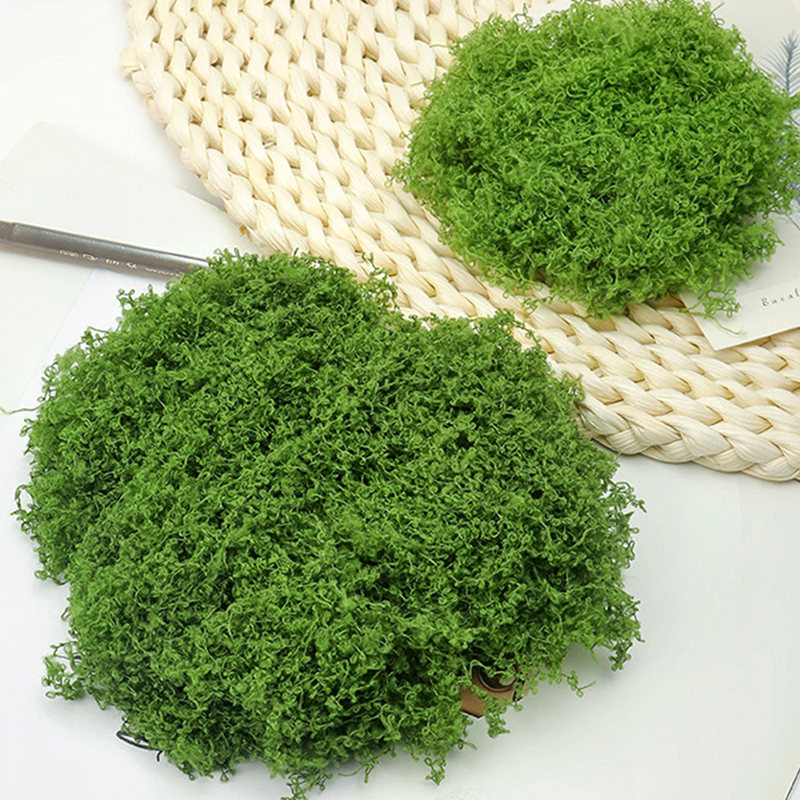 about 20g Artificial Green Pla - Terrarium Moss Art avis et prix