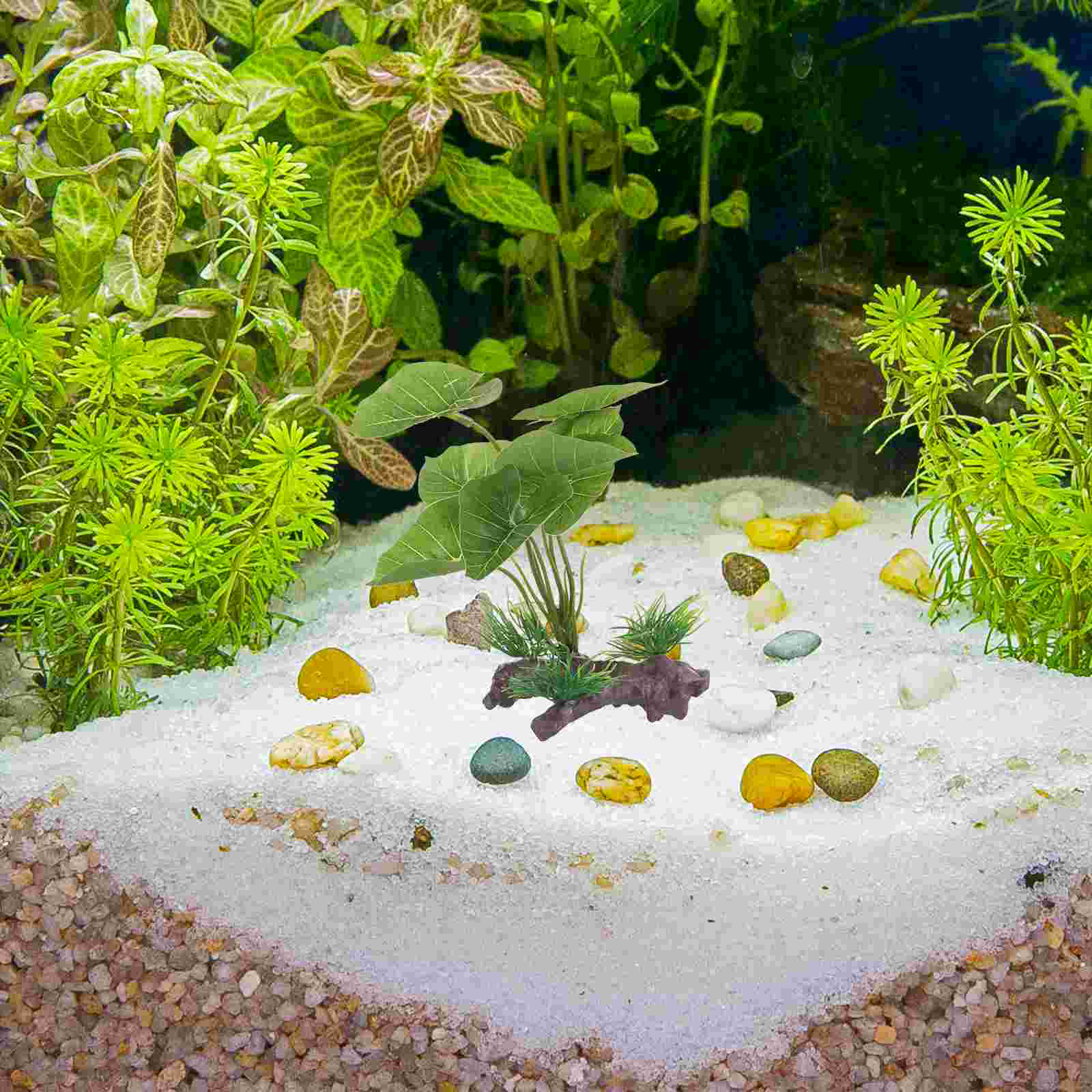 Fish Tank Artificial Water Pla - Terrarium Moss Art avis et prix