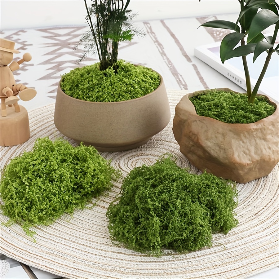 1pack Artificial Fake Moss, 1. - Terrarium Moss Art avis et prix