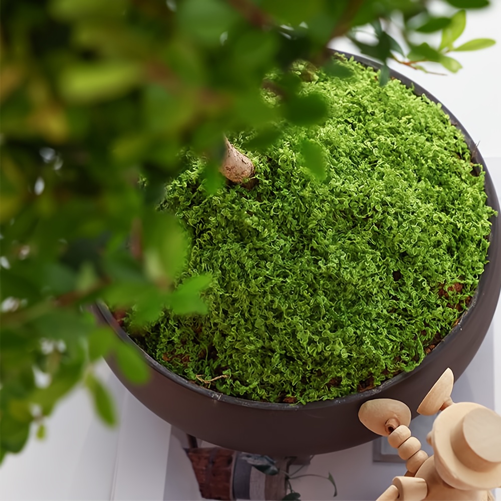1pack Artificial Fake Moss, 1. - Terrarium Moss Art avis et prix