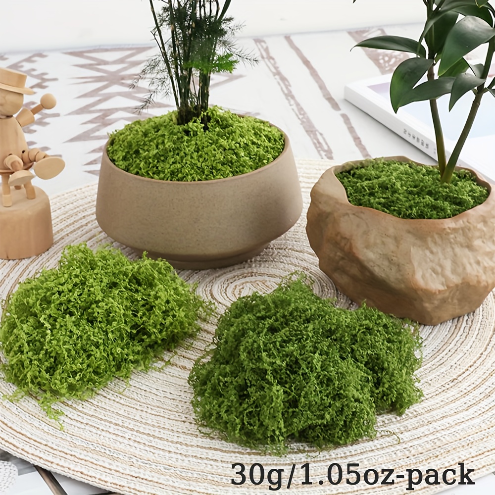 1pack Artificial Fake Moss, 1. - Terrarium Moss Art avis et prix