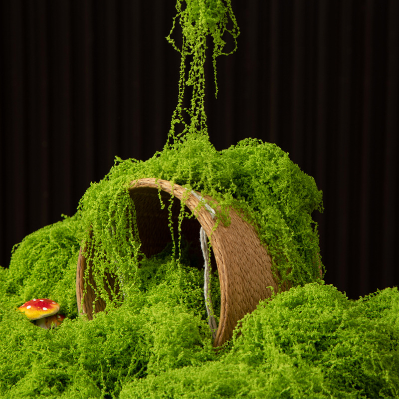 200g Eternal Life Moss DIY Cra - Terrarium Moss Art avis et prix