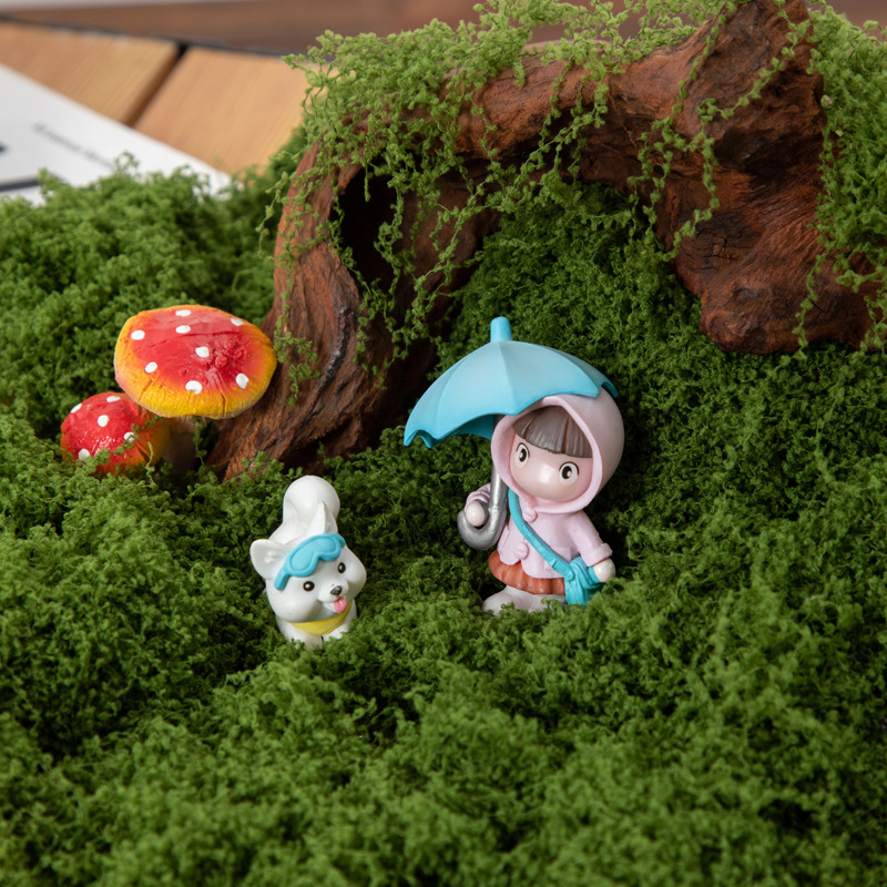 200g Eternal Life Moss DIY Cra - Terrarium Moss Art avis et prix