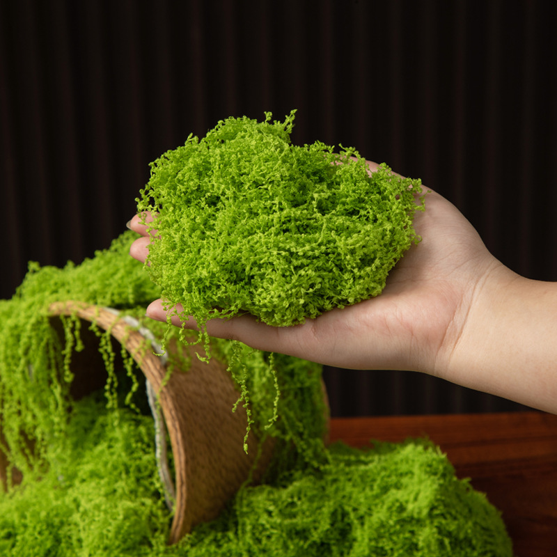 200g Eternal Life Moss DIY Cra - Terrarium Moss Art avis et prix