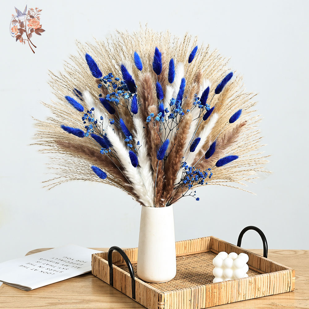 70 Stem Blue Fluffly Rabbit Ta - Dried Flower Bulk avis et prix