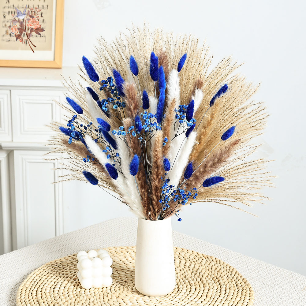70 Stem Blue Fluffly Rabbit Ta - Dried Flower Bulk avis et prix