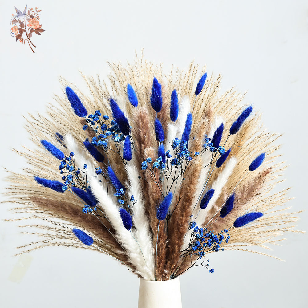 70 Stem Blue Fluffly Rabbit Ta - Dried Flower Bulk avis et prix