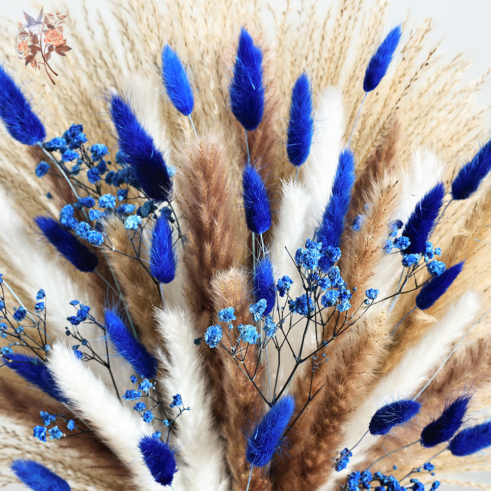 70 Stem Blue Fluffly Rabbit Ta - Dried Flower Bulk avis et prix