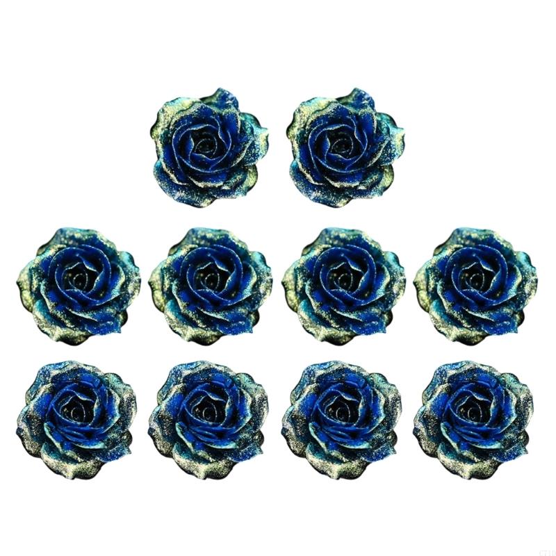  Pack of 10 Shimmering Resin C - Resin Glitter Pack avis et prix
