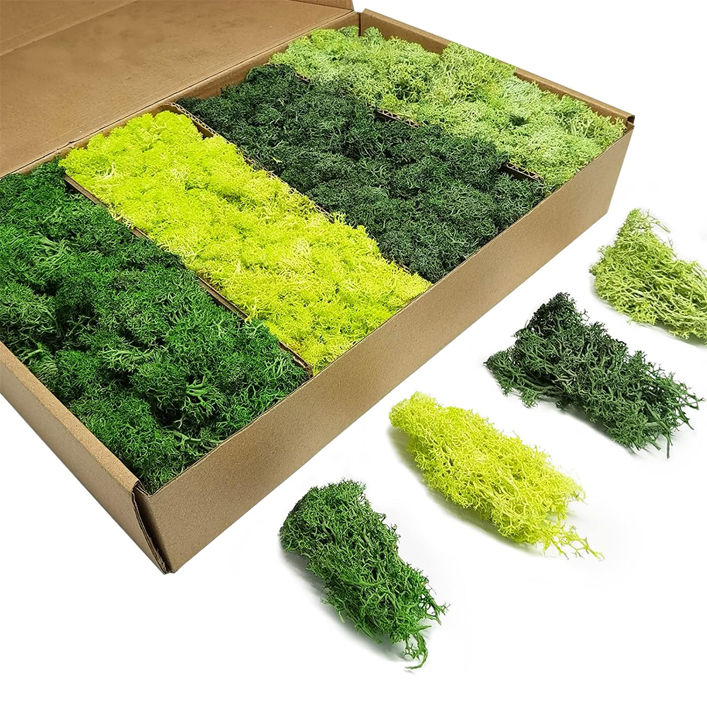 Artificial Green Plants Eterna - Terrarium Moss Art avis et prix