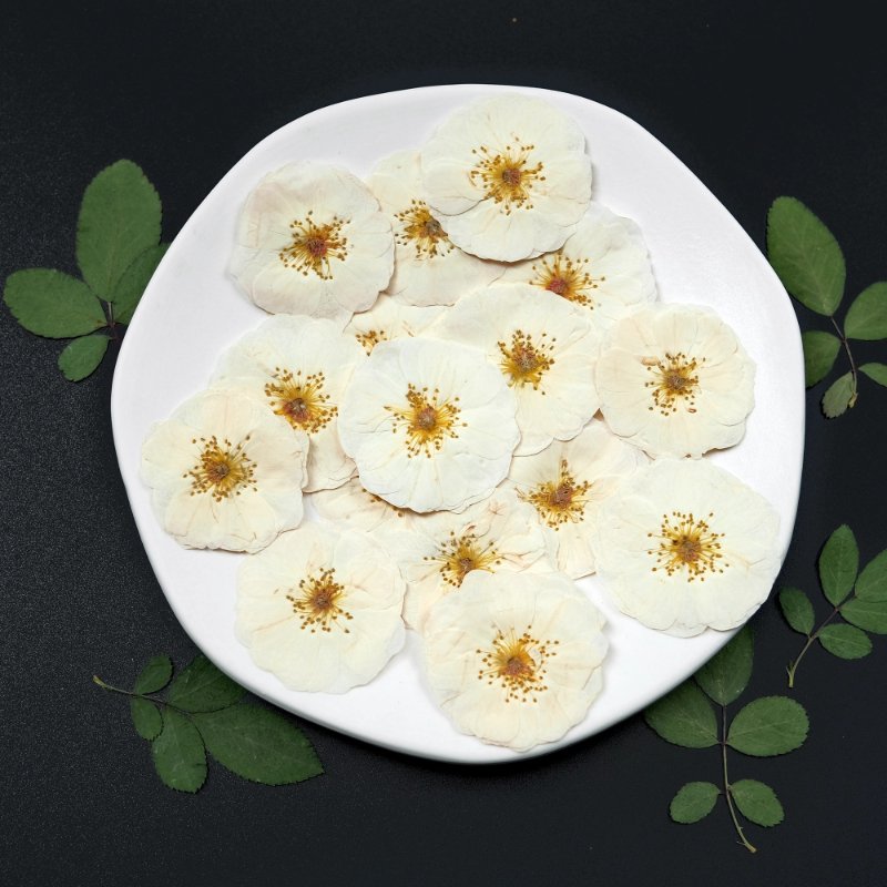 6pcs,9pcs,Nature White Rose Pr - Dried Flower Bulk avis et prix