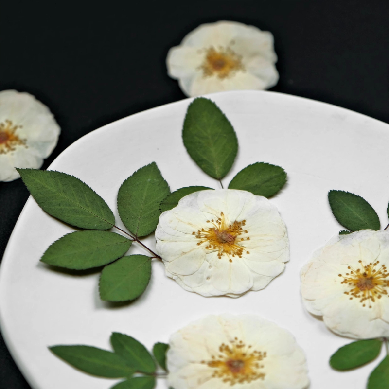 6pcs,9pcs,Nature White Rose Pr - Dried Flower Bulk avis et prix
