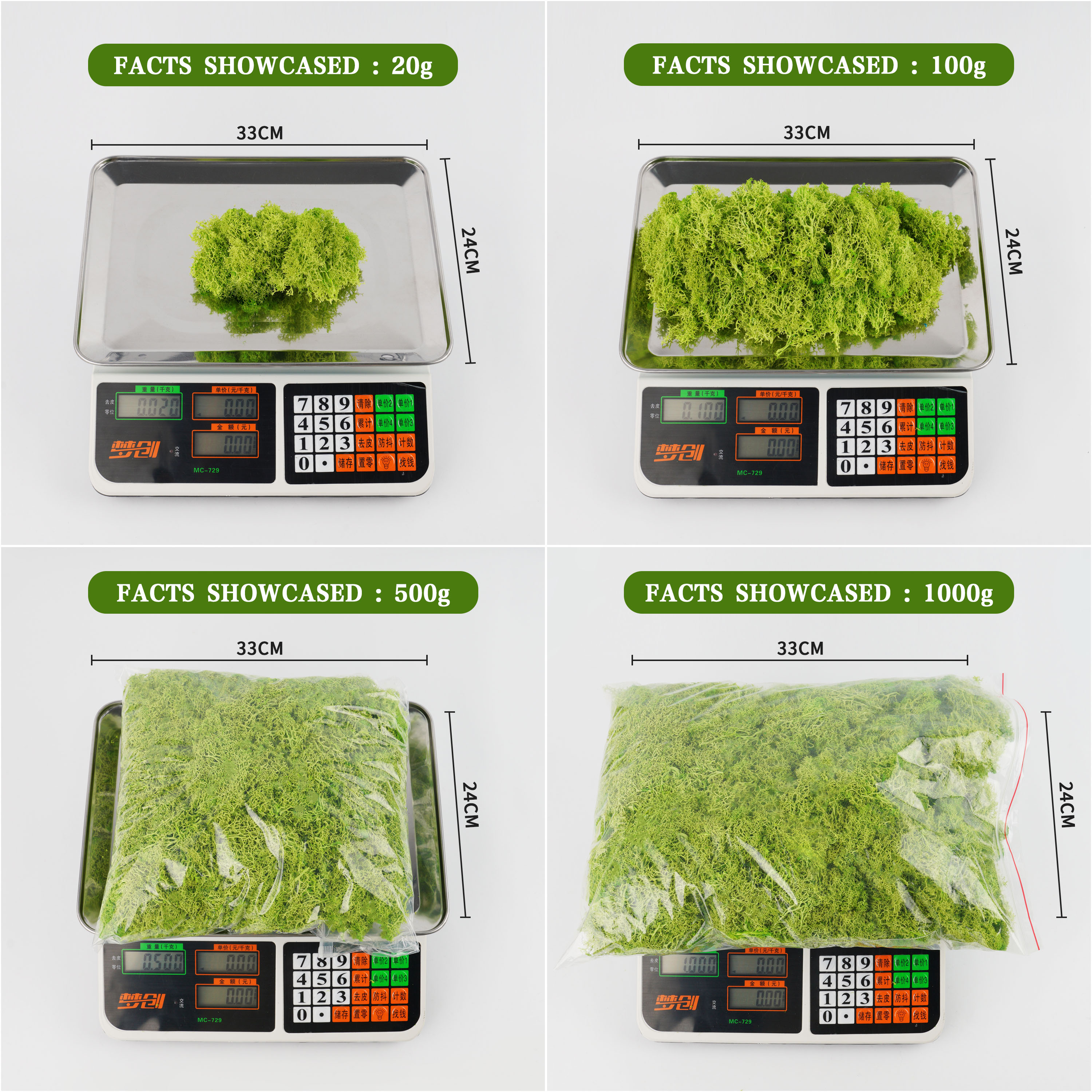 20/40/100g Eternal Life Moss D - Terrarium Moss Art avis et prix