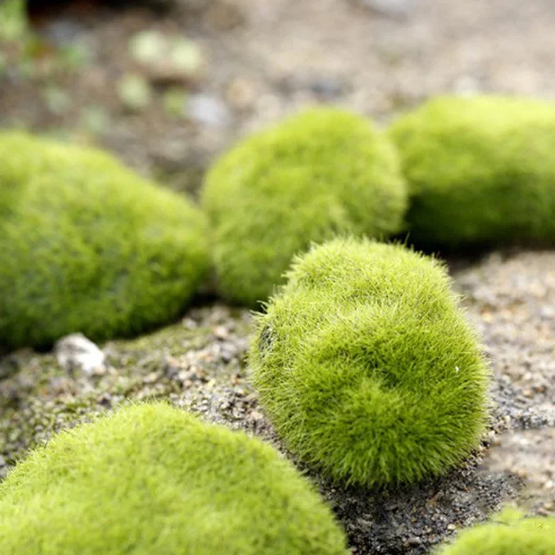 Fake Stone Artificial Moss Roc - Terrarium Moss Art avis et prix