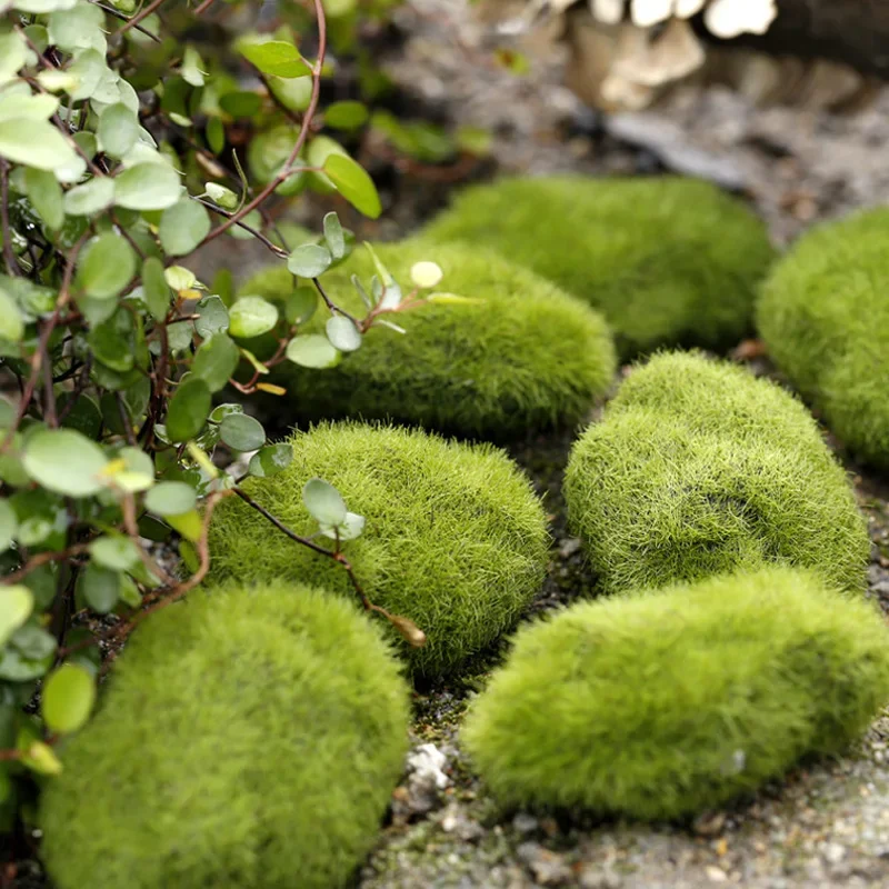 Fake Stone Artificial Moss Roc - Terrarium Moss Art avis et prix