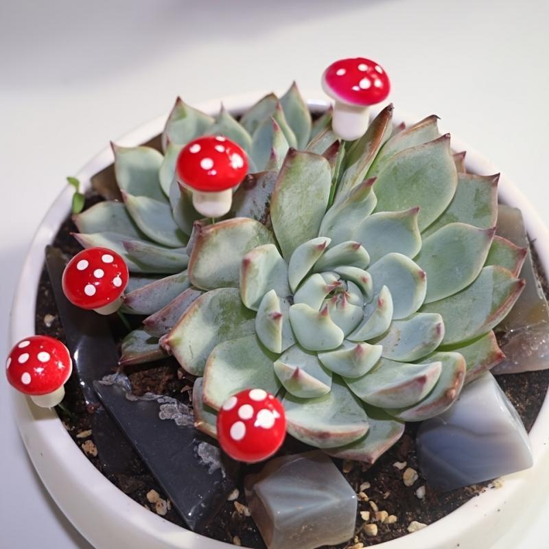 10-80PCS Mini Color Mushroom D - Terrarium Moss Art avis et prix