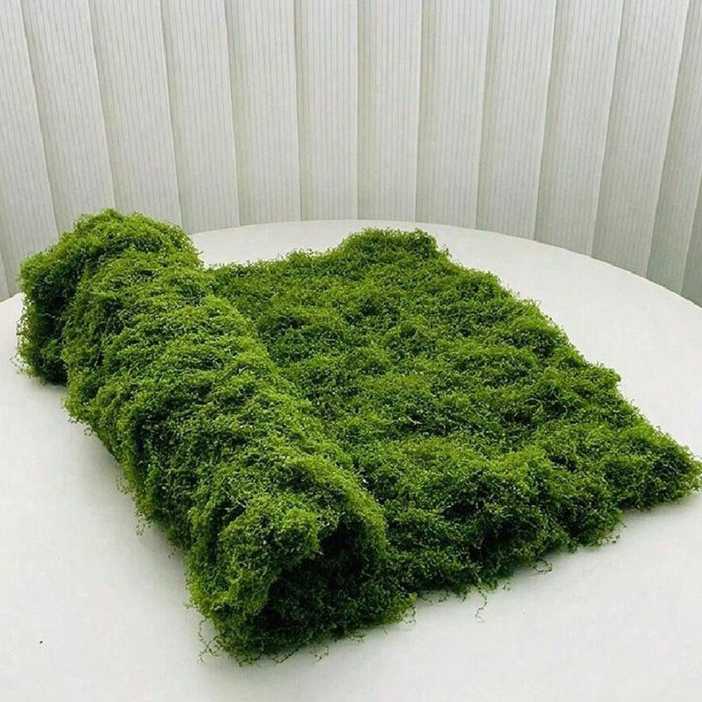 1*1m Fake Moss DIY Crafts Gras - Terrarium Moss Art avis et prix