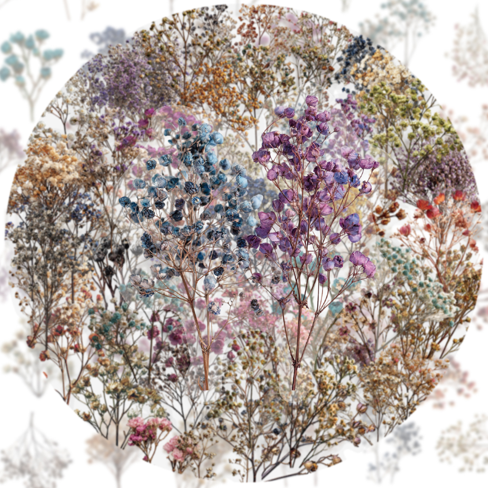 50PCS Retro Color Dried Flower - Dried Flower Bulk avis et prix