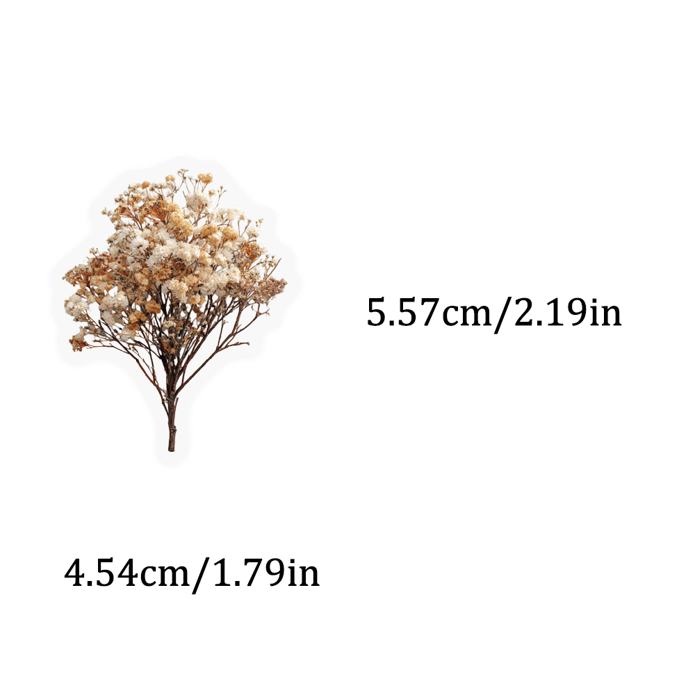 50PCS Retro Color Dried Flower - Dried Flower Bulk avis et prix