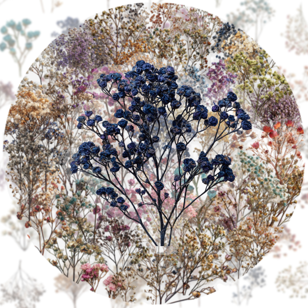 50PCS Retro Color Dried Flower - Dried Flower Bulk avis et prix