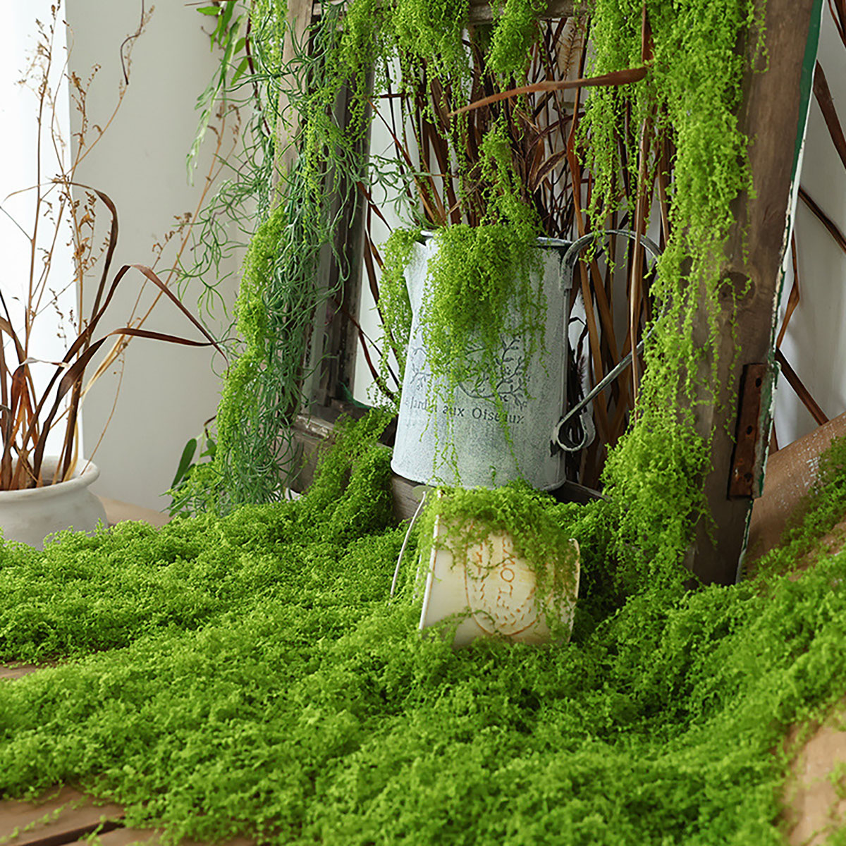 about 20g Artificial Green Pla - Terrarium Moss Art avis et prix