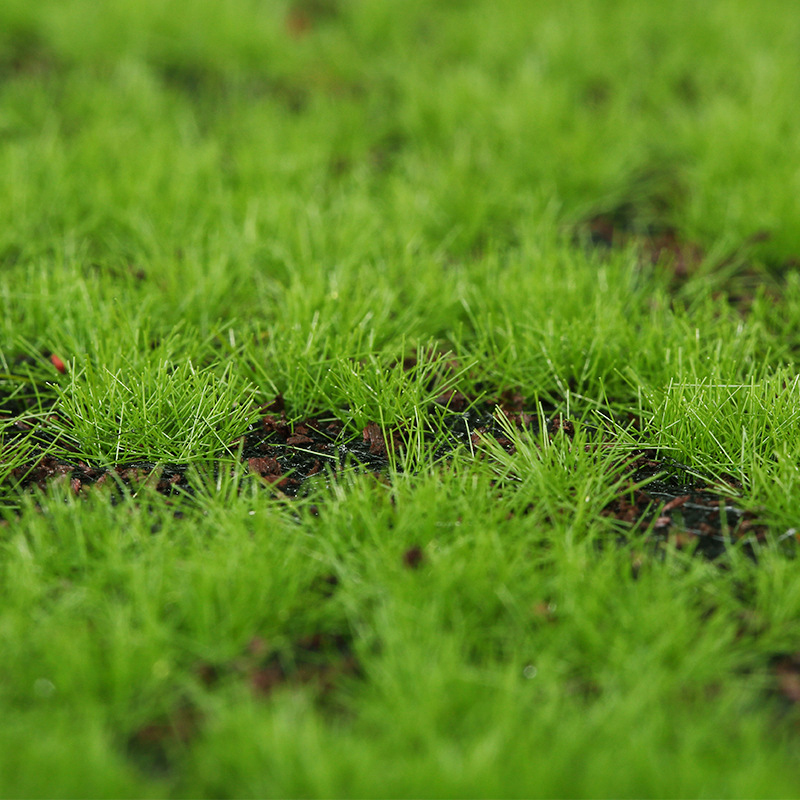 Artificial Moss Fake Green Mos - Terrarium Moss Art avis et prix